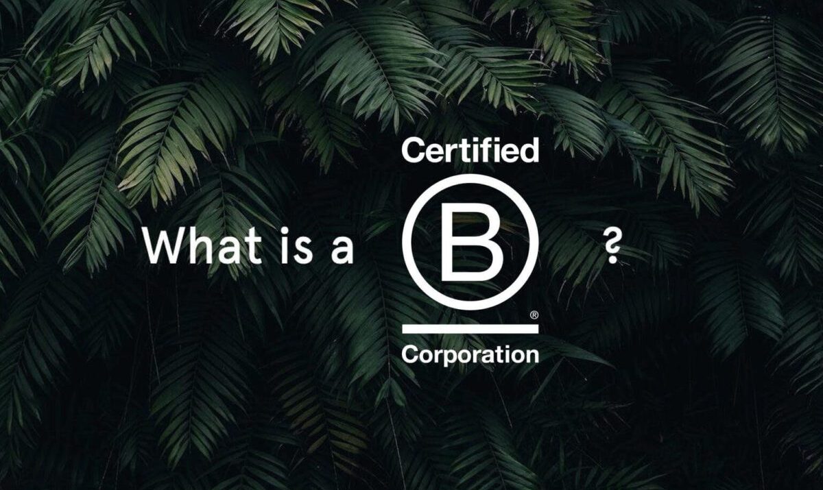 What is a b corp text over leaves