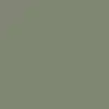 Olive Green Sunglasses
