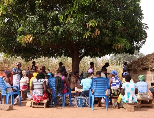 Weavers for all generations gathered under a baobab tree in Zaare Akundenbisi