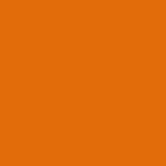 Burnt orange sunglasses colour